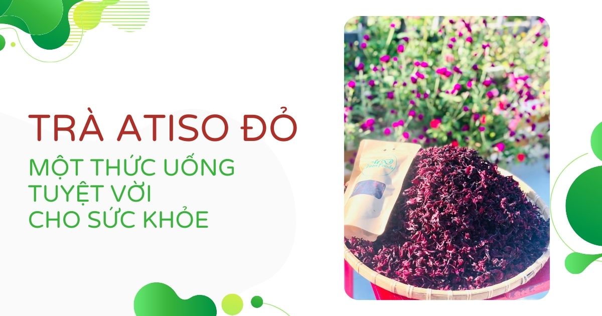 Trà Atiso Đỏ Một Thức Uống Tuyệt Vời Cho Sức Khỏe